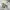 Columbia Vintage Streetwear Sweater Pria gray photo 2