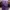 Avant Garde Shirt Wanita purple photo 2