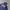 GAP Vintage Leather jacket Pria navy photo 2