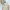 Minimalist Casual dress Wanita cream photo 1