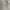 Kangol Casual Sweatshirt Pria white photo 3