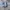 Puma Y2K Casual Boots Pria white blue photo 3