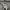 Reebok Sportswear Casual Hoody Pria gray photo 6