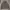 Reebok Sportswear Casual Hoody Pria gray photo 1