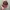 Vintage Streetwear Hat Pria brown photo 4
