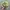Biker Sportswear Hat Pria green photo 3