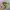 Biker Sportswear Hat Pria green photo 2