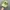 Biker Sportswear Hat Pria green photo 1