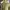 Mammut Sportswear Casual Polo shirt Pria khaki photo 5