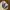 Fossil Luxury Minimalist Bags & purse Wanita purple photo 5
