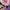 Sportswear Swimwear Kids multicolor black photo 5