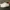 Nike Streetwear Sneakers Pria white photo 1