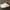 Nike Streetwear Sneakers Pria White