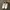 Nike Streetwear Sneakers Pria white photo 2