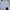 Polo Ralph Lauren Luxury Minimalist Casual shirt Pria navy blue photo 1