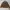 Carhartt Vintage Y2K Denim jacket Pria brown photo 1