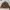 Carhartt Vintage Y2K Denim Jacket Pria Brown