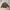 Carhartt Vintage Y2K Denim jacket Pria brown photo 4