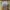 Carhartt Vintage Y2K Denim jacket Pria brown photo 3