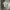 C.P. Company Casual Polo shirt Pria white photo 1