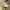 New Balance Streetwear Sneakers Wanita cream yellow photo 1