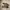 Asics Streetwear Sportswear Sneakers Pria Tan Brown