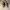 Asics Streetwear Sportswear Sneakers Pria tan brown photo 4