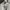 Luxury Casual Sweatshirt Wanita white photo 2