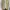 GAP Vintage Sportswear Windbreaker Pria green photo 8