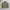 GAP Vintage Sportswear Windbreaker Pria Green