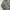 Japanese brand Vintage Streetwear Parka Pria gray photo 3