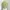 Lolita Coquette Crop top Wanita multicolor photo 2