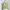 Lolita Coquette Crop top Wanita multicolor photo 1