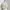 Avant Garde Coquette Crop top Wanita white pink photo 1