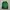 Columbia Casual Track jacket Pria green black photo 1