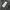 WTAPS Avant Garde Parka Pria black photo 6