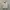 Jeep Biker Casual Track jacket Pria cream photo 1