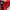 The North Face Gorpcore Track jacket Pria red black photo 5