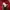 Polham Skater Hoody Pria red photo 5