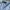 Luxury Casual Polo shirt Pria blue photo 3