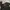The North Face Gorpcore Track jacket Pria black photo 6
