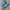 Adidas Casual Sneakers Wanita blue photo 1