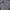 Nike Sportswear Fleece Pria gray photo 1
