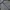 Nike Sportswear Fleece Pria Gray