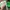 H&M Luxury Casual Casual dress Wanita green photo 3