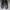 Nike Casual Sneakers Pria green photo 4
