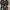 Nike Casual Sneakers Pria green photo 7