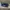 Adidas Casual Sneakers Pria navy blue photo 2
