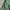 Hangten Vintage Biker Casual shirt Pria green photo 3