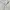 Lacoste Minimalist Casual Polo shirt Pria white photo 4